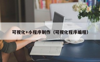 慈利可视化+小程序制作（可视化程序编程）